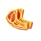 Juguete en forma de carne